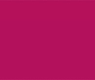 定档除夕，WCBA全明星周末火爆开票