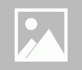 组织中锋🤩莫兰德摘板一条龙杀篮下妙传 吉伦沃特吃饼暴力灌筐