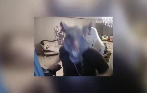 姿态做情商测试题花20块钱看报告：这钱一付感觉我智力是真有问题