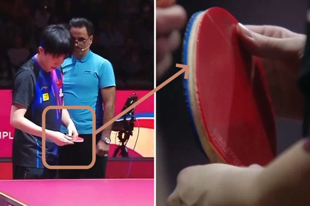 程靖淇谈王楚钦球拍受损:主裁应首先被调查,该给王楚钦一个道歉
